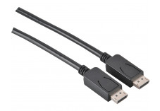Câble DisplayPort 1.1 - 1,5 m