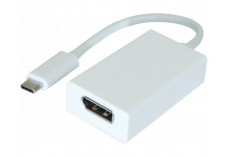 DACOMEX Sachet convertisseur USB 3.2 Type-C vers DisplayPort 1.2