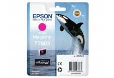 Cartouche EPSON C13T76034010 T7603 - Magenta