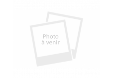 EKIVALAN Ossature baie serveur BEEA 42U 800 x 1000 (noir)
