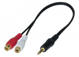 Adaptateur audio jack stéréo 3,5 mâle vers 2 x RCA femelles 0.30m