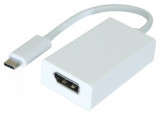 Adaptateur USB 3.1 Type-C vers DisplayPort 1.2