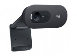 Logitech C505 - Webcam - couleur - 720p - Focale fixe - audio - USB