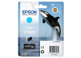 Cartouche EPSON C13T76024010 - Cyan