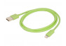 URBAN FACTORY Câble de charge Lightning vers USB -1.0m Vert