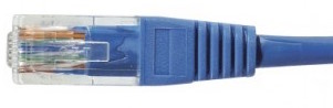cable ethernet utp bleu 0,5m catégorie 6 économique
