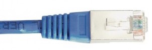 cable ethernet ftp bleu 30m cat 6