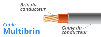 câble rj45 multibrin